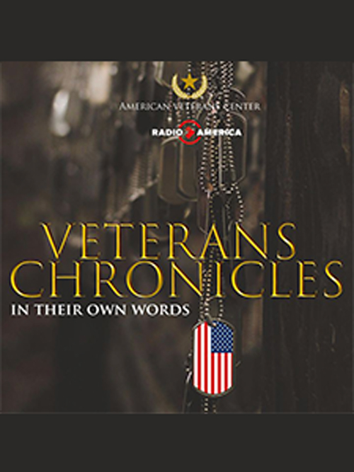 Veteran Chronicles: In Their Own Words