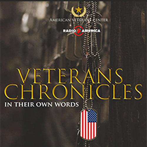 Veteran Chronicles: In Their Own Words