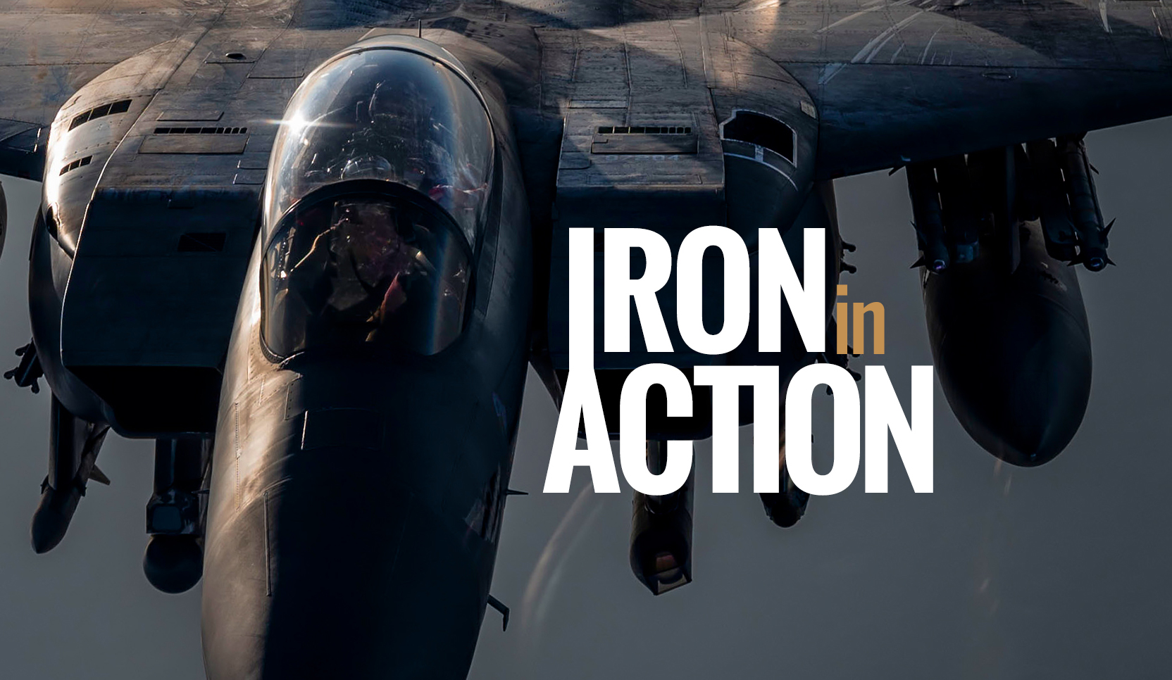 Iron in Action